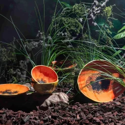 Bordallo Pinheiro Tropical Fruits Papaya Small Bowl, 14x14cm -Sous Chef DC0207BordalloPinheiroTropicalFruitsServingPlatter PapayaLifestyle