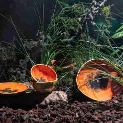 Bordallo Pinheiro Tropical Fruits Papaya Serving Platter, 35x23cm -Sous Chef DC0207BordalloPinheiroTropicalFruitsServingPlatter PapayaLifestyle 1