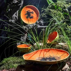 Bordallo Pinheiro Tropical Fruits Papaya Serving Platter, 35x23cm -Sous Chef DC0207BordalloPinheiroTropicalFruitsServingPlatter Papayalifestyle 2