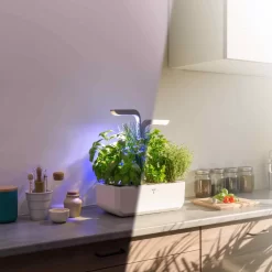 Veritable Classic Indoor Herb Garden 9 Veritable Classic Indoor Herb Garden -Sous Chef HU0007VeritableClassicIndoorHerbGardenlifestyle3