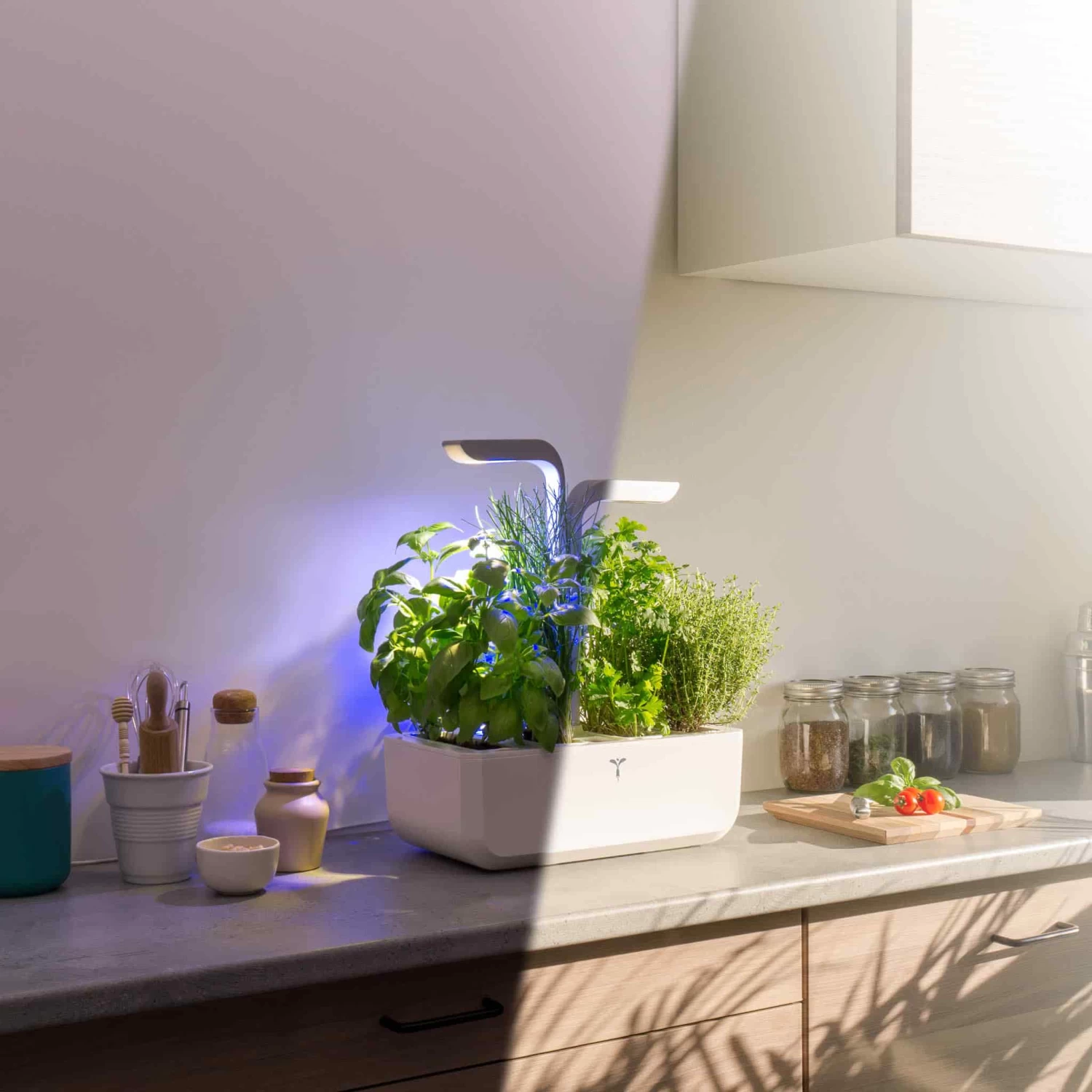 Veritable Classic Indoor Herb Garden 4 Veritable Classic Indoor Herb Garden - Image 4