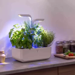 Veritable Classic Indoor Herb Garden 8 Veritable Classic Indoor Herb Garden -Sous Chef HU0007VeritableClassicIndoorHerbGardenlifestyle4