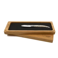 Laguiole En Aubrac Oyster Knife, Oyster Shell Handle