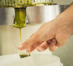 Pariani Roasted Bronte Pistachio Oil 100ml 7 Pariani Roasted Bronte Pistachio Oil 100ml -Sous Chef Pariani pistachio oil first press 001ab788 f345 4c76 834f a6de34105352