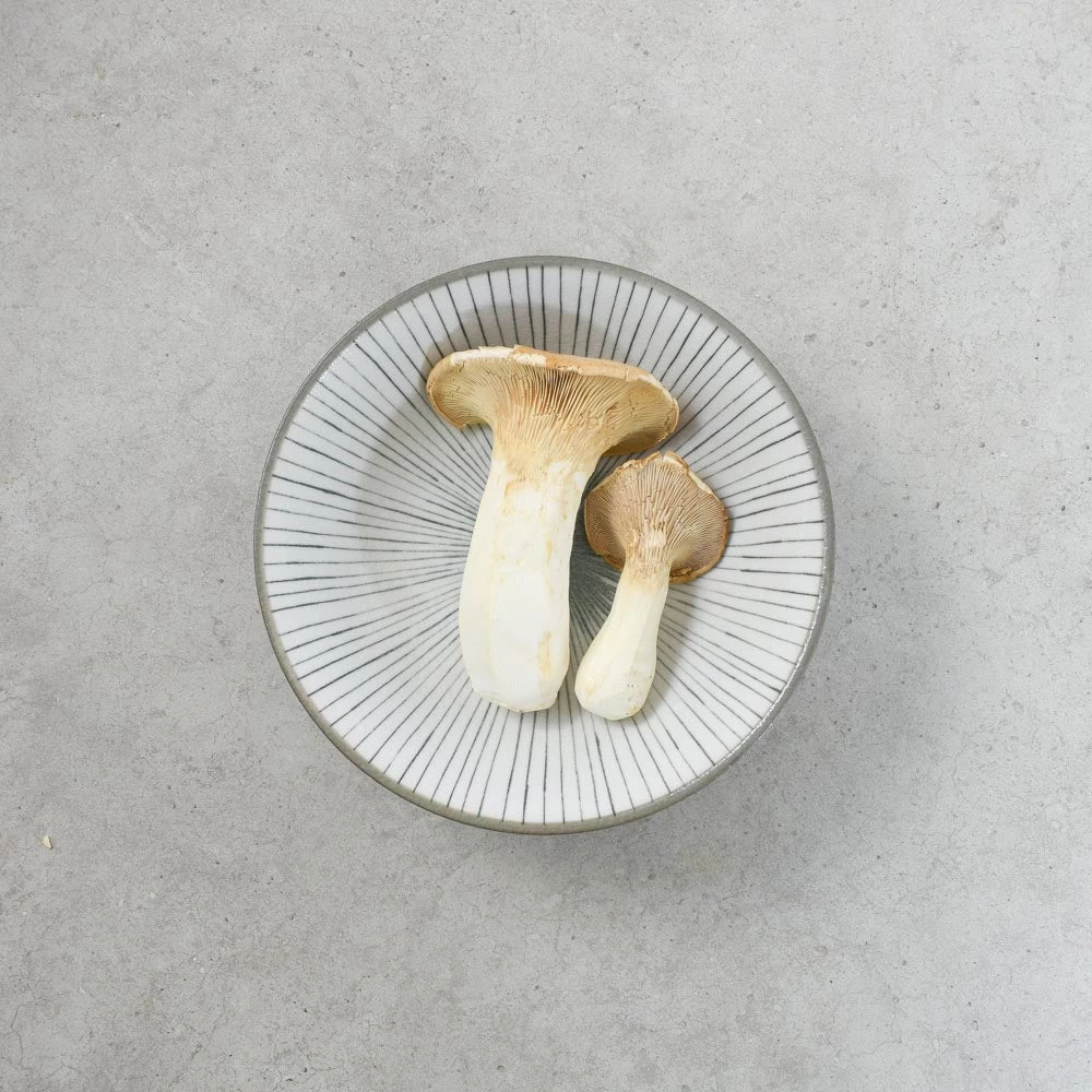 Taiyo Shallow Bowl, Grey, 22cm 1 Taiyo Shallow Bowl, Grey, 22cm