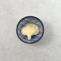 Blue Wave Noodle Bowl