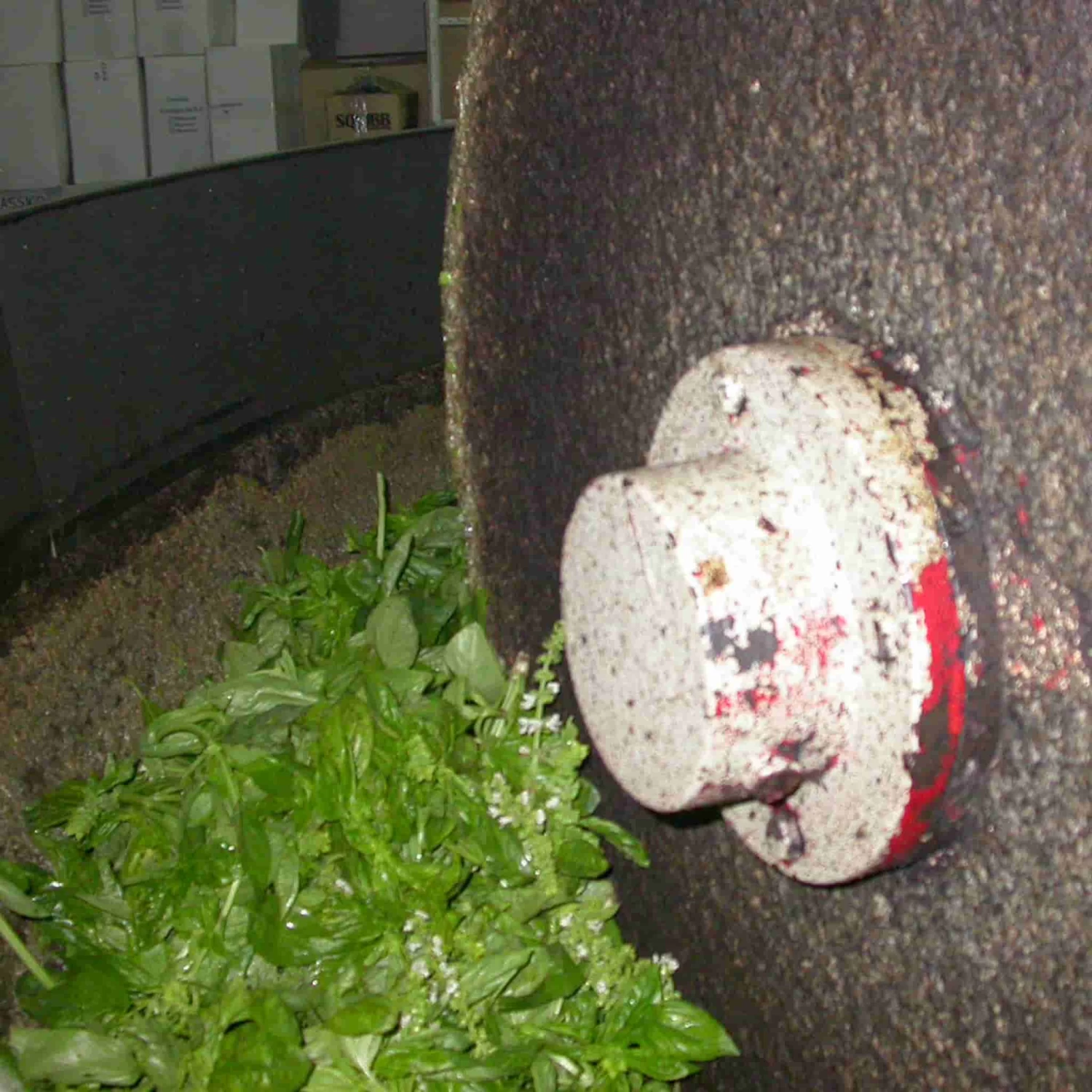 Galantino Puglian Olive Oil With Basil In Terracotta Bottle 250ml 6 Galantino Puglian Olive Oil With Basil In Terracotta Bottle 250ml - Image 6