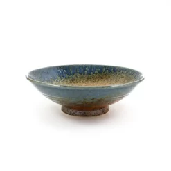 Chouseki Shallow Bowl 25cm