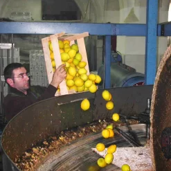 Galantino Puglian Olive Oil With Lemon In Terracotta Bottle 250ml -Sous Chef lemon1