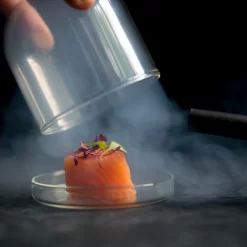 2 X Large Domed Glass Cloche - 11cm Dia -Sous Chef salmon cloche gun 2